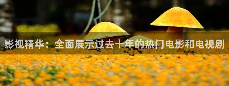 星空影院网站