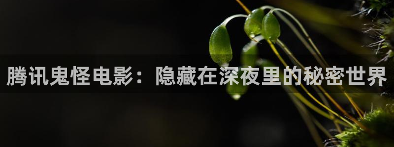 星空视频在线观看免费播放电影