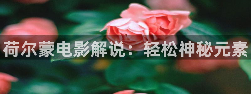 星空影城影讯