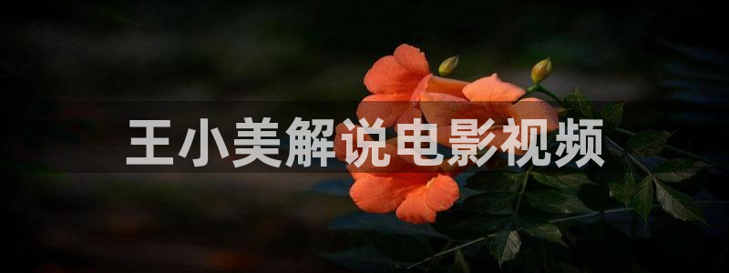 星空影院电视剧在线看入口免费