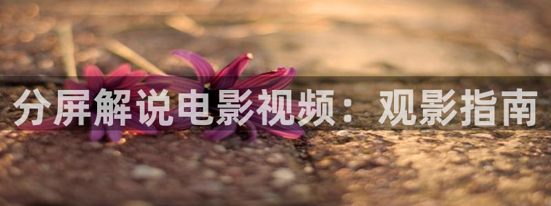 星空在线观影剧院