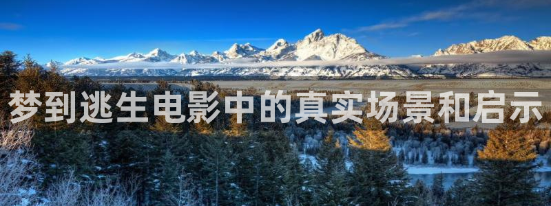 星空影视app下载免费