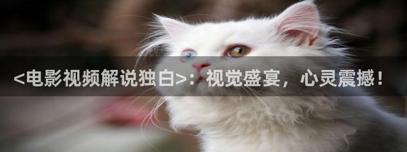 星空影院免费观看电影2024年上映