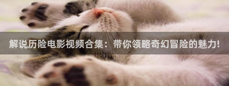 星空影院免费看电视