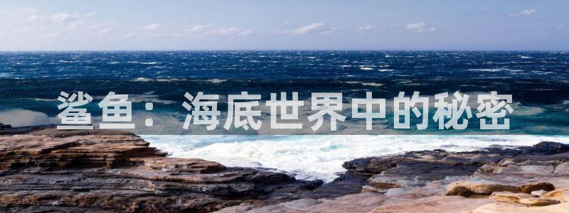 星空影视是真的吗